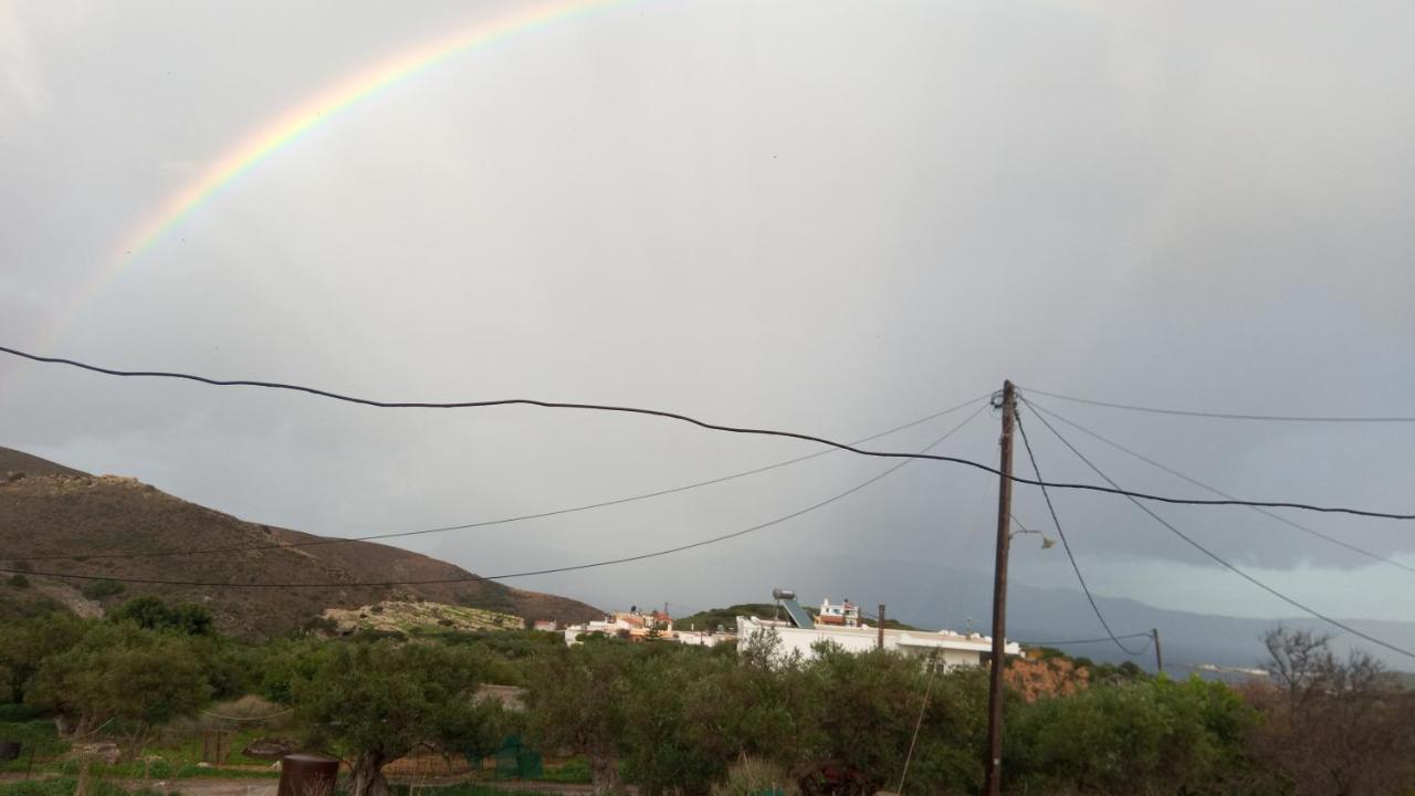 Traditional House Maria Azoyirás Εξωτερικό φωτογραφία
