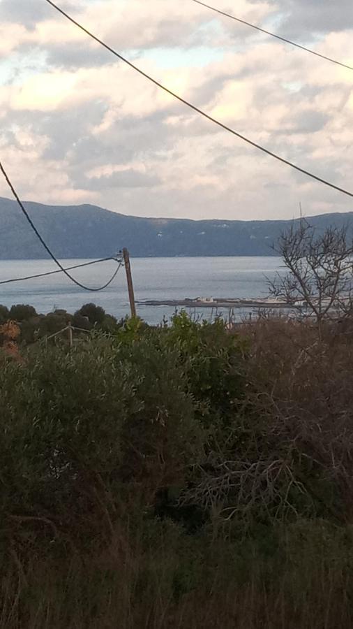 Traditional House Maria Azoyirás Εξωτερικό φωτογραφία