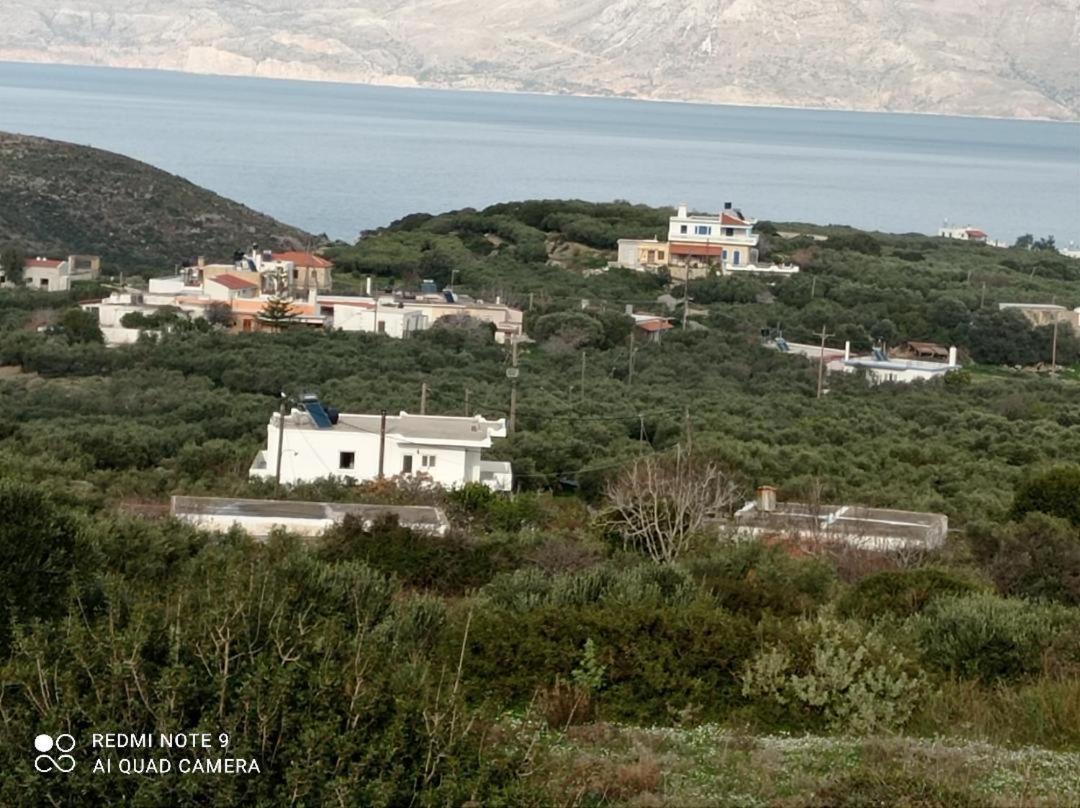 Traditional House Maria Azoyirás Εξωτερικό φωτογραφία